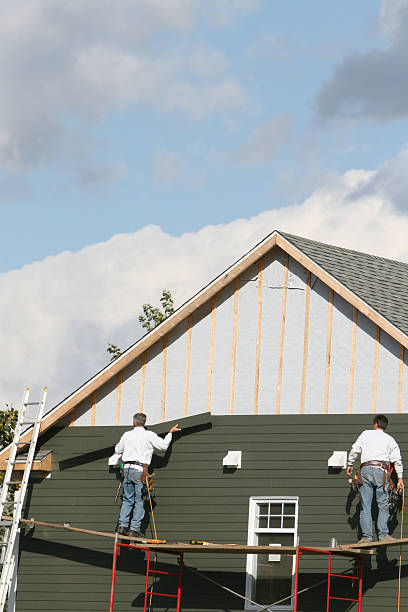 Best Carpet Removal and Disposal  in Jenison, MI